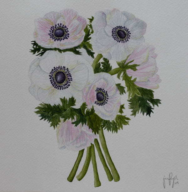 IMG_2785 franske anemoner A5 Hjemmeside Franske Anemoner
