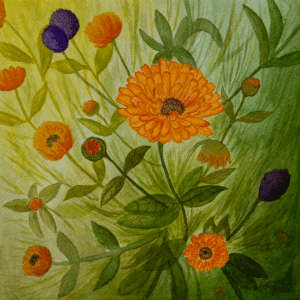 IMG_2786 orange blomster Hjemmeside Morgenfruer
