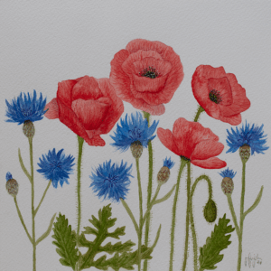 Valmuer og Kornblomster