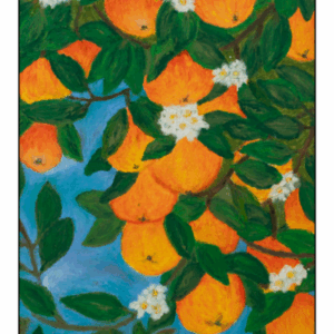 Skærmbillede 2025-06-26 123937 Appelsiner - Plakat
