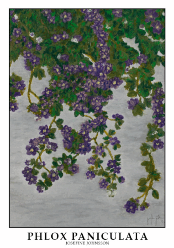 Lilla Blomster - Plakat