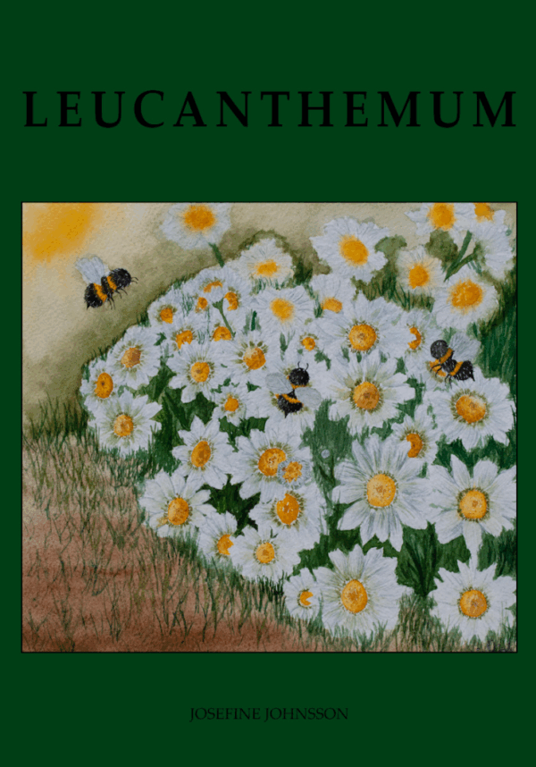 Margueritter og bier - Plakat