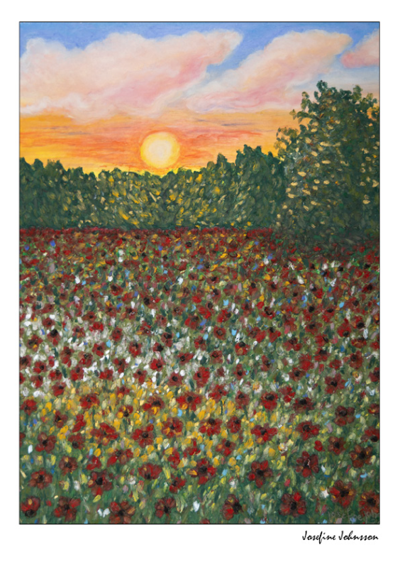 Aftensol over valmuemark - Plakat