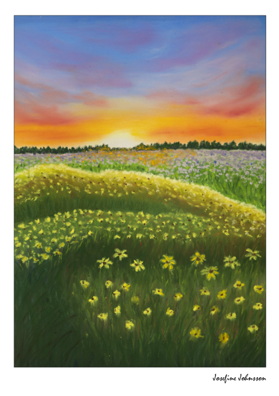Gylden sol - Plakat
